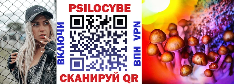 как найти закладки  Всеволожск  Галлюциногенные грибы Cubensis 